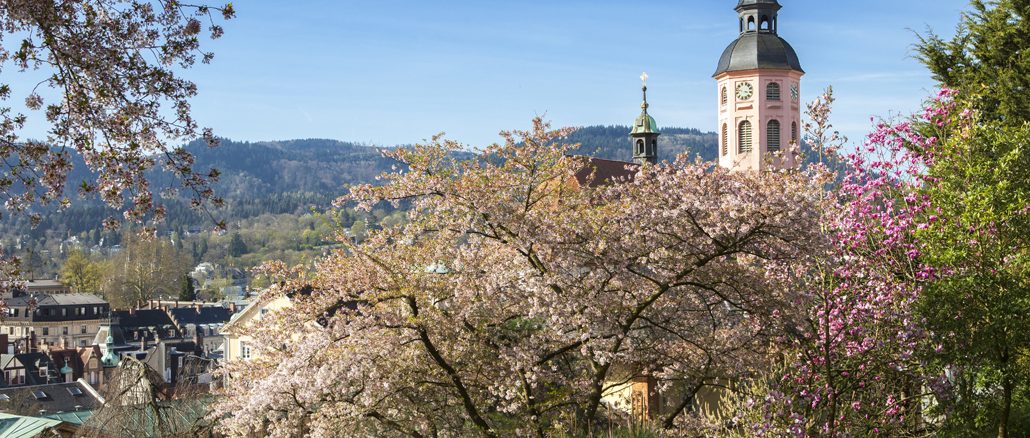 Stadtansicht Fruehling