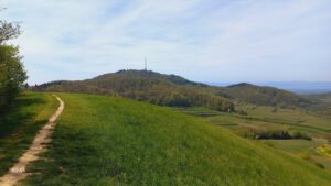 Wandern im Kaiserstuhl von Endingen nach Oberrotweil @ Baden-Baden Oos Bahnhof | Baden-Baden | Baden-Württemberg | Deutschland