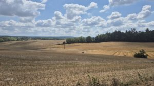 Wandern im Kraichgau mit Asiengarten und Freiland-Sternwarte @ Baden-Baden Oos Bahnhof | Baden-Baden | Baden-Württemberg | Deutschland